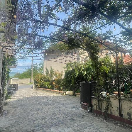 Luxury House Teodora Villa Deva Eksteriør bilde